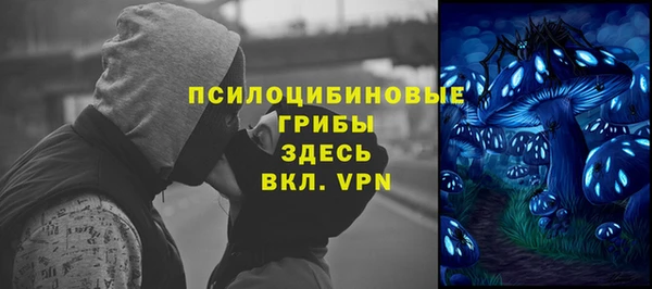 молекула духа Коряжма