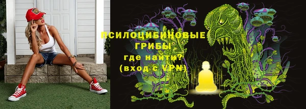МДПВ Корсаков