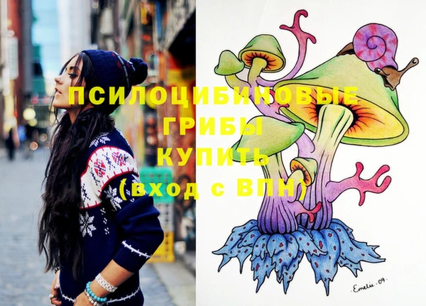 молекула духа Коряжма