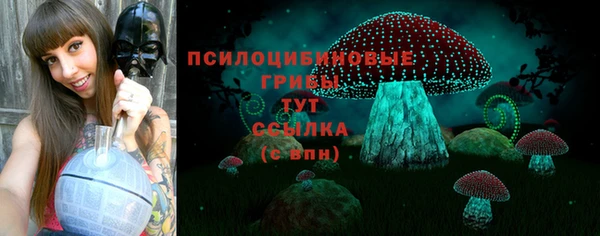 МДПВ Корсаков