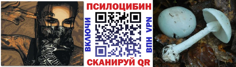 Галлюциногенные грибы мухоморы  Купить закладки  Пересвет 
