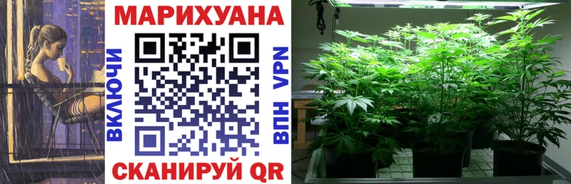 Марихуана Amnesia  Купить где  Пересвет 
